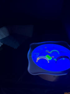 Entspannung im Dunkelzelt